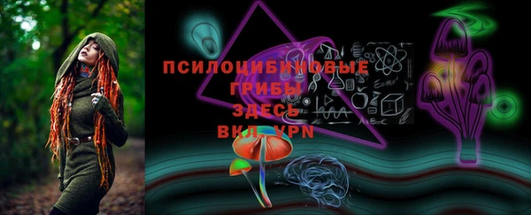 ПСИЛОЦИБИНОВЫЕ ГРИБЫ Баксан