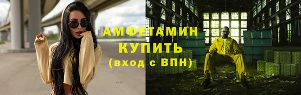 ПСИЛОЦИБИНОВЫЕ ГРИБЫ Баксан