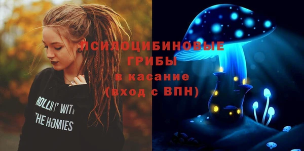 ПСИЛОЦИБИНОВЫЕ ГРИБЫ Баксан