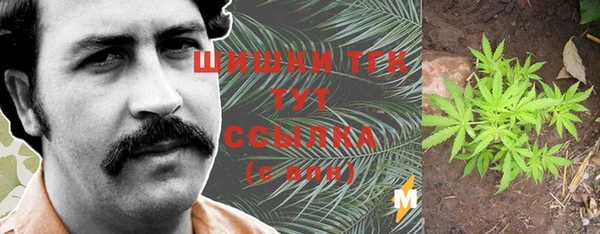 ПСИЛОЦИБИНОВЫЕ ГРИБЫ Баксан