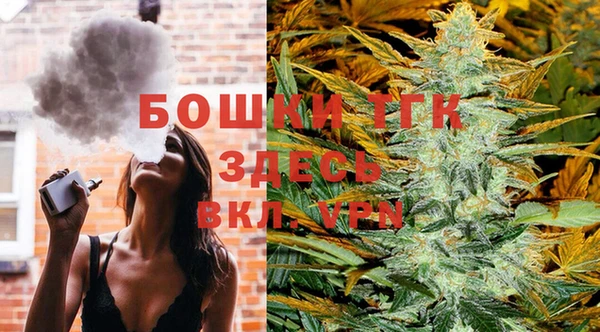 гашик Балахна