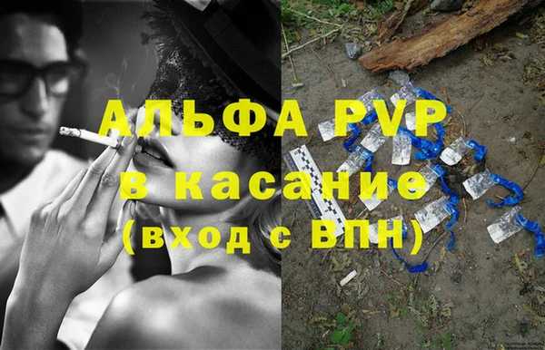 ПСИЛОЦИБИНОВЫЕ ГРИБЫ Баксан