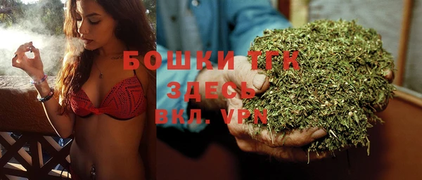 гашик Балахна